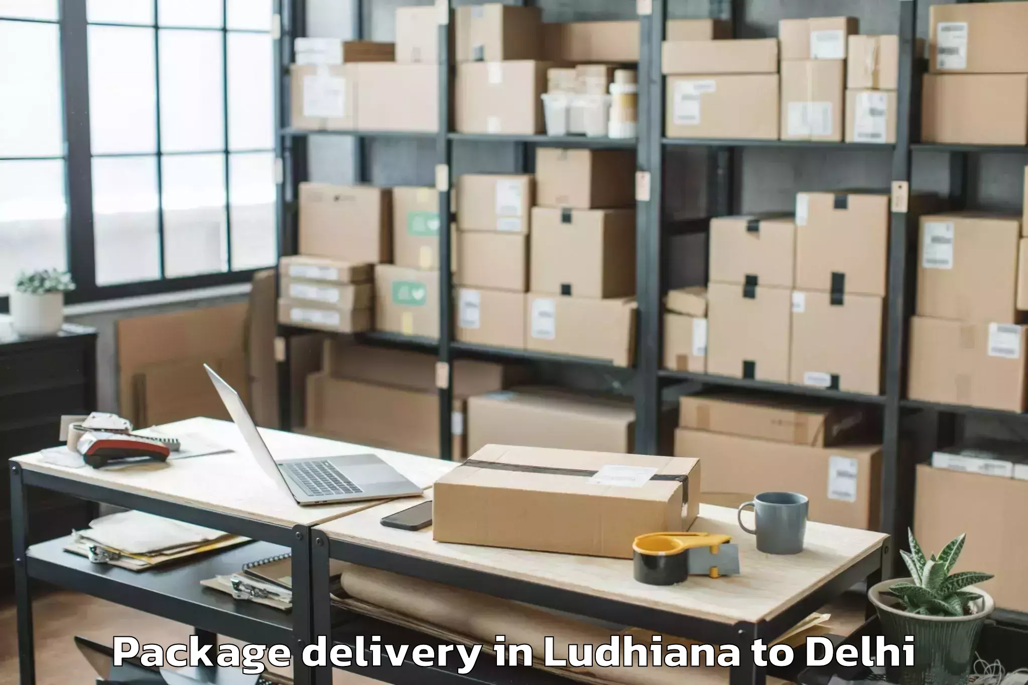 Discover Ludhiana to Naraina Industrial Estate Package Delivery